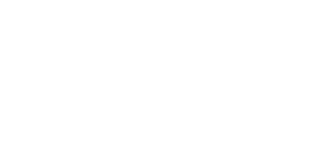 Light Bridges